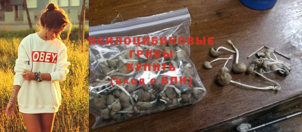 ПСИЛОЦИБИНОВЫЕ ГРИБЫ Беломорск