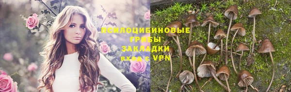 круглые Белокуриха