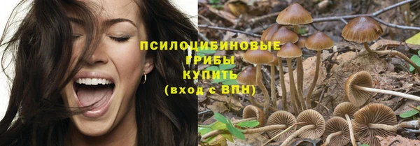 скорость Баксан