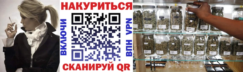 Каннабис планчик  Ершов 